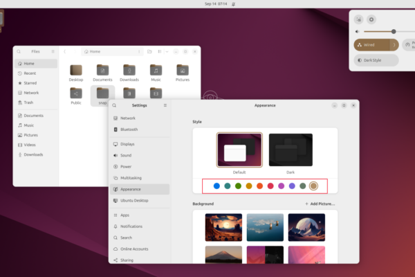 Bảng Giao diện của ứng dụng Cài đặt Ubuntu 24.10, với các màu nhấn được tô sáng.