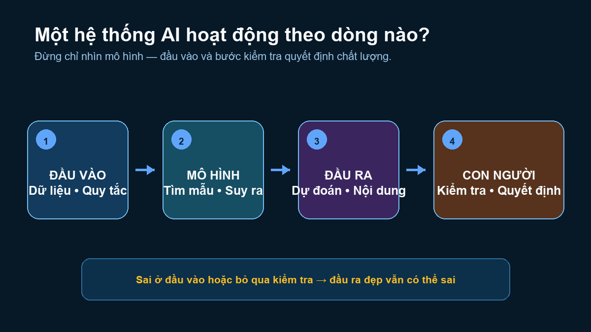 Sơ đồ hệ thống AI nhận đầu vào, xử lý bằng mô hình, tạo đầu ra và được con người kiểm tra