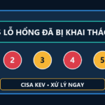 Cảnh báo 5 lỗ hổng CISA KEV đang bị khai thác
