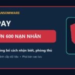 Cảnh báo SafePay ransomware đã ảnh hưởng hơn 600 tổ chức