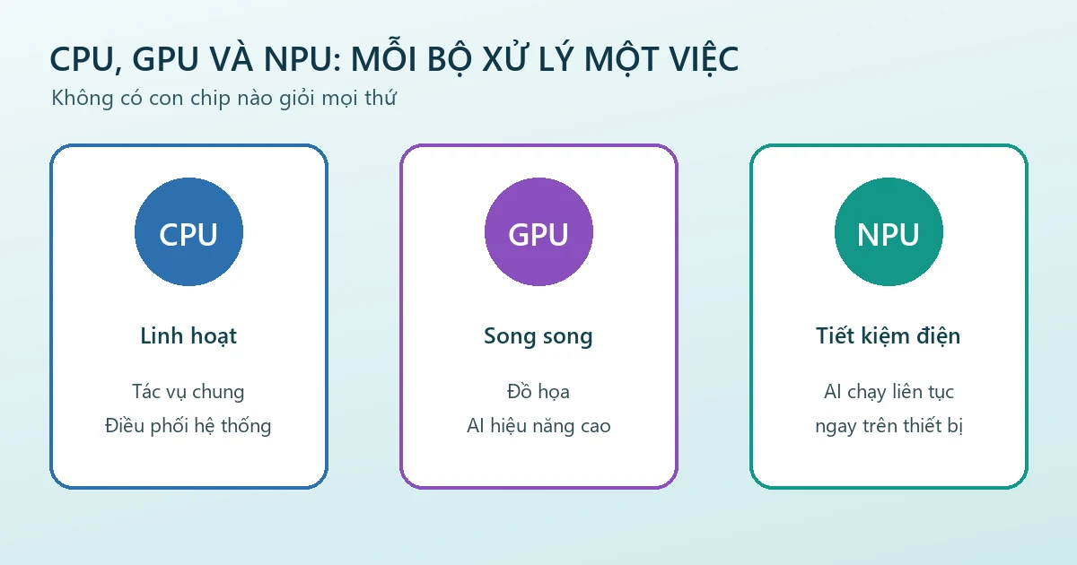 Sơ đồ so sánh vai trò của CPU GPU và NPU